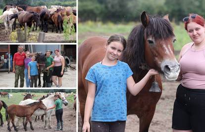 Heroina iz Odranskog polja: Kobila Mirga iz poplave spasila 100 konja, a to joj nije prvi put