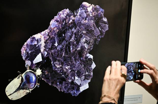 Zagreb: Otvorenje izložbe  Savršenstvo evolucije – Razotkrivanje