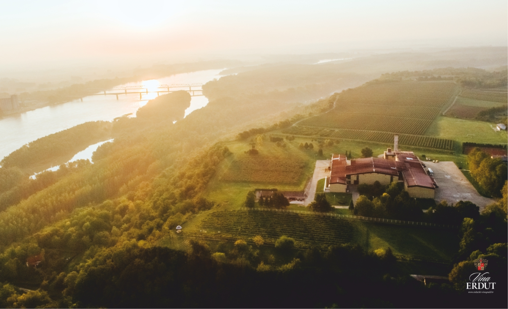 Graševine Vina Erdut ponovo zlatne