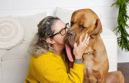 Guinnessov rekorder: Nježni div Ozzy ima jezik dugačak nevjerojatnih 20 centimetara!