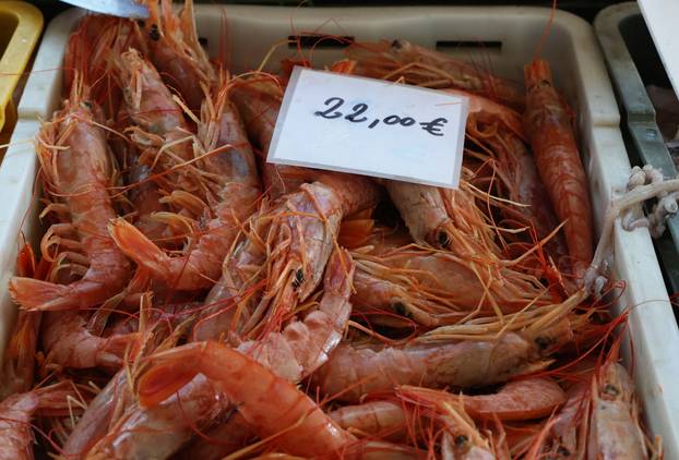 Šibenik:Bogata ponuda ribe na sibenskoj ribarnici.