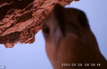 Orao 'ukrao' kameru: Snimio let nad australskom divljinom