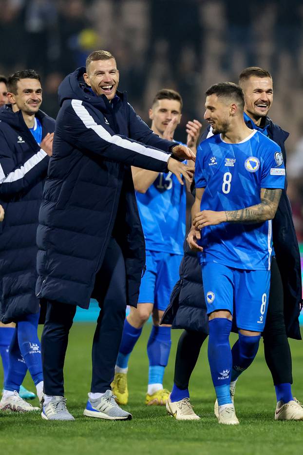 Bosna i Hercegovina i Island sastali se u 1. kolu kvalifikacija za Europsko prvenstvo