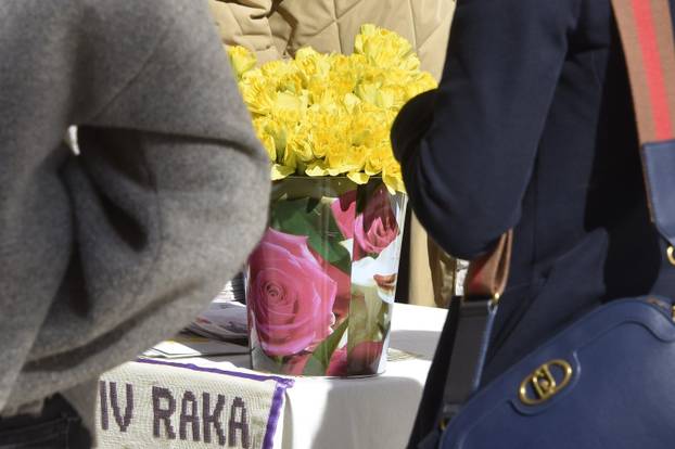 Šibenik: Liga protiv raka Šibenik obilježava Dan narcisa