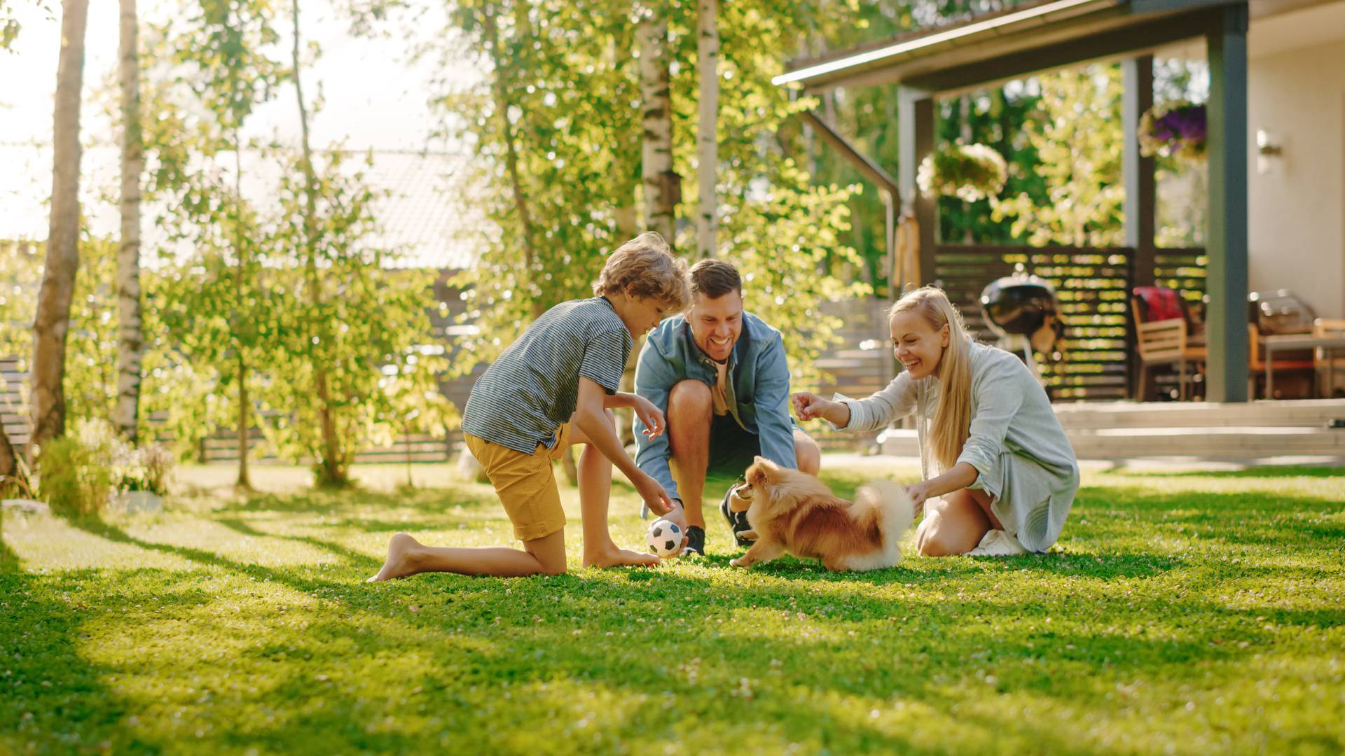 Family of Four Having fun Playing with Cute Little Pomeranian Do