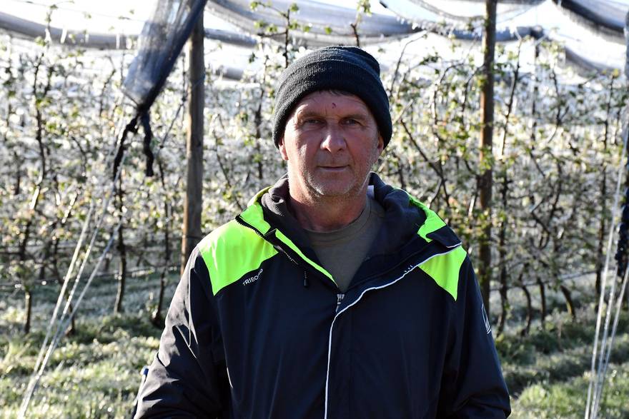 Noćna akcija voćara kraj Slavonskog Broda: Ledom su spašavali jabuke od mraza