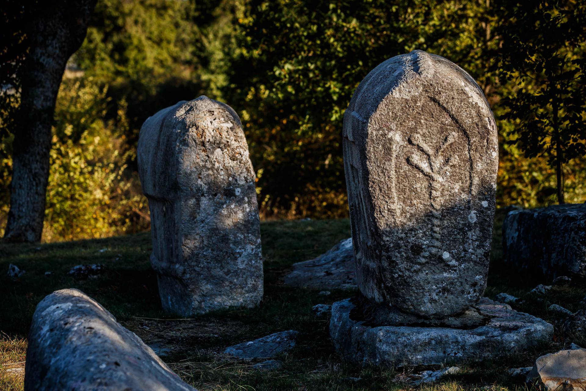 Misterij kamenih spavača: Jesu li stećci dokaz da je na našim prostorima živio drevni narod koji je korijen europske kulture?