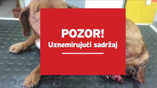 Umirao je u agoniji: Peppu je netko sjekirom odrezao nogice