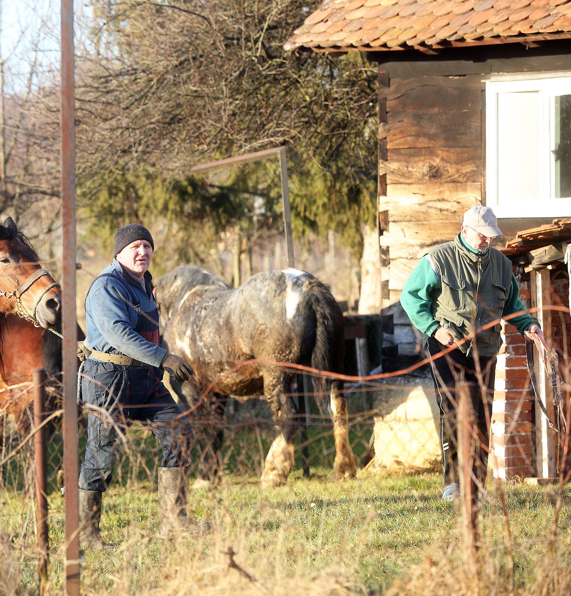 Požar progutao štalu, a vlasnik je uspio na vrijeme izvući konje