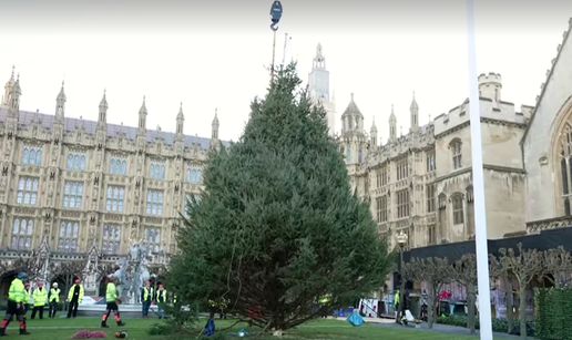 VIDEO Pogledajte kako izgleda postavljanje božićnog drvca ispred  londonskog Parlamenta