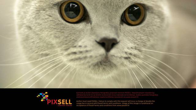 Pixsell