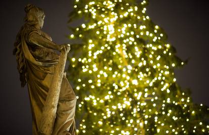 U Beču božićno drvce stoji kao simbol optimizma i zajedništva