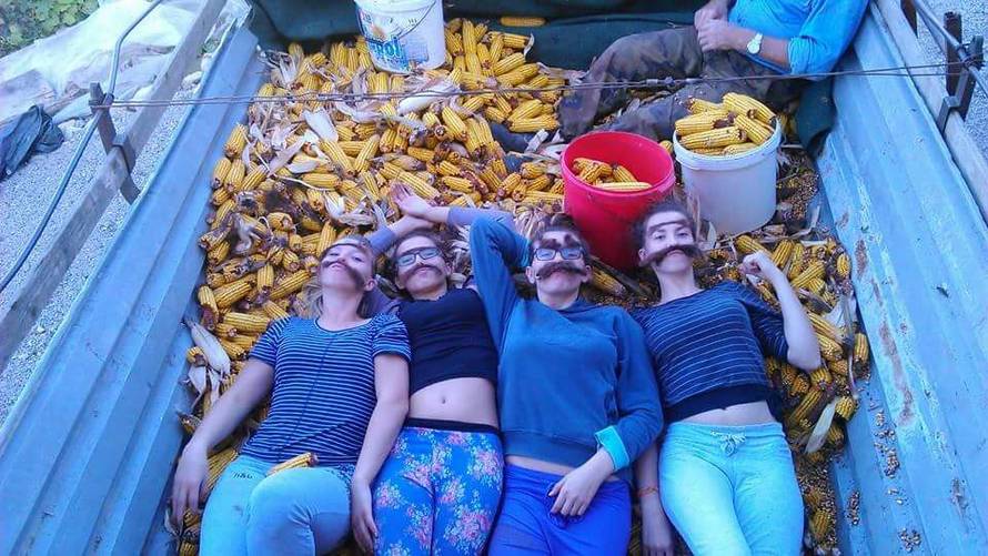 Movember: Pogledajte galeriju brkova koji puštaju čitatelji