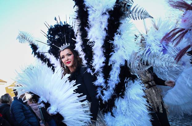 Samobor: Povorka mjesnih odbora i alegorijskih kola na Fašniku