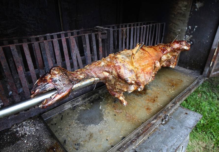 Davor Puklavec/PIXSELL