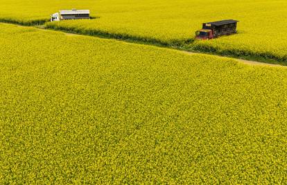 Poljoprivredna proizvodnja u 2024. povećana za 6,6 posto