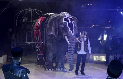 Cirkusi u karanteni: Životinje leže beživotno u nastambama