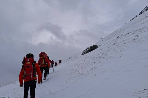 Pronašli tijelo jednog Hrvata. Nastavak potrage sutra. Drvo mu je palo na glavu