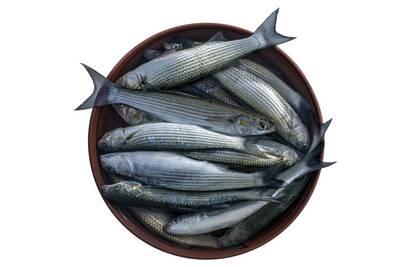 Tajne za sveznalice: Kako prepoznati i kupiti svježu ribu?
