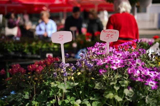 24sata Zagreb: Ponuda cvijeća na Dolcu 
