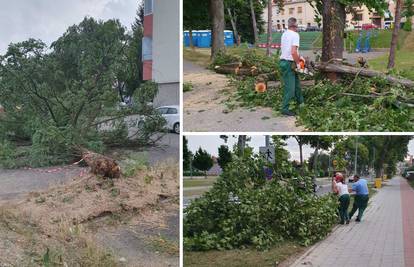 FOTO Nevrijeme u Karlovcu: Jak vjetar u par minuta napravio kaos, porušena brojna stabla