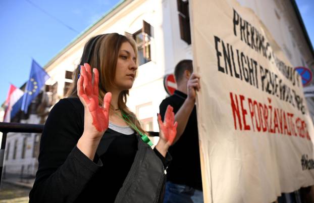 Zagreb: Zelena akcija poziva Vladu na prekid odnosa s izraelskom kompanijom Enlight Renewable Energy