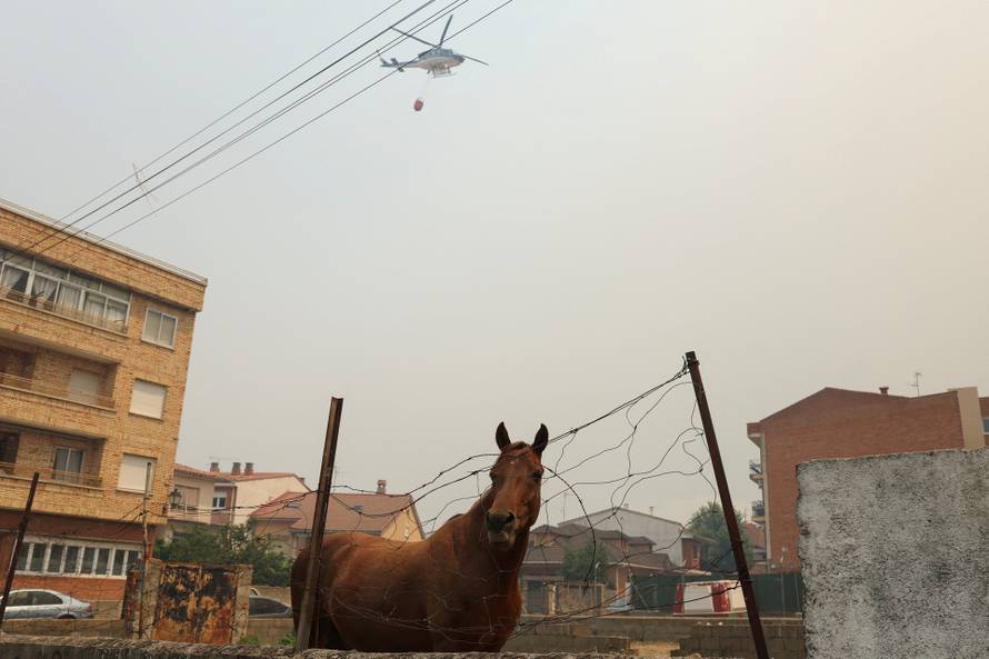 Wildfire in El Tiemblo, Spain