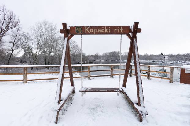 Kopački rit: Zimska idila u Baranji 