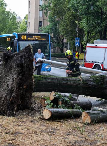 Zagreb: Vatrogasci uklanjaju stablo koje je palo u Ulici Svetog Mateja
