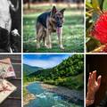 Kakvi ste sa znanjem zemljopisa i književnosti? Riješite novi kviz i otkrijte koliko ste pametni