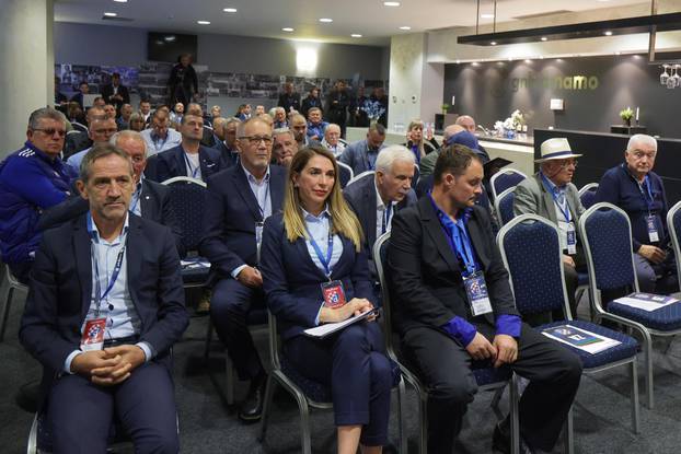 Zagreb: Na stadionu Maksimir po?ela je skupština GNK Dinama