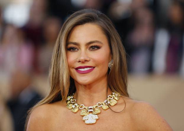 Actress Sofia Vergara arrives at the 22nd Screen Actors Guild Awards in Los Angeles