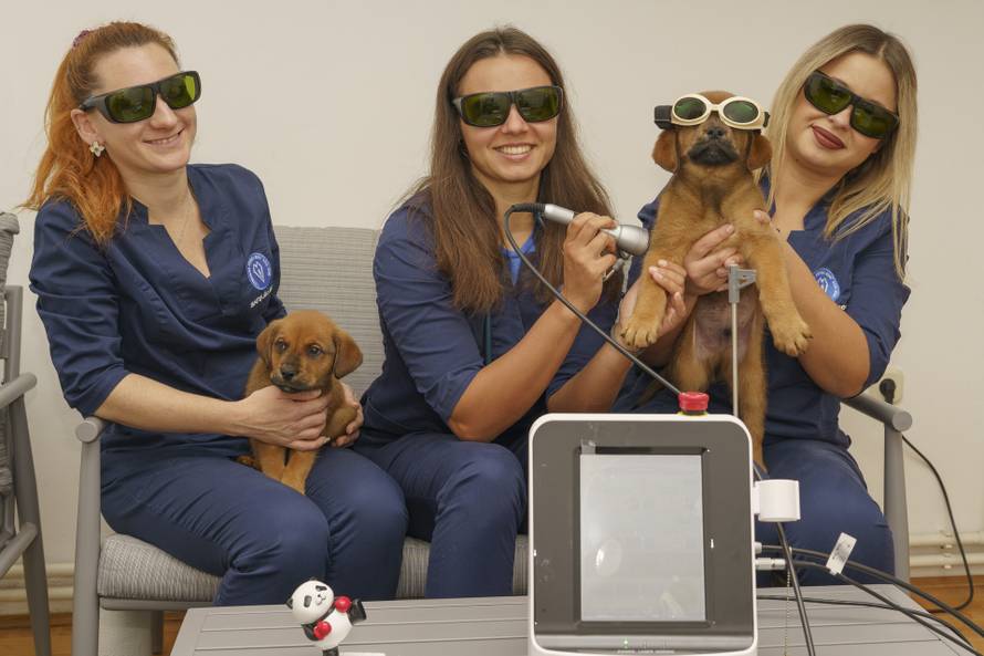 Hitna pomoć, RTG, kirurgija i dežurstvo 0-24 – evo gdje ljubimci imaju potpunu njegu