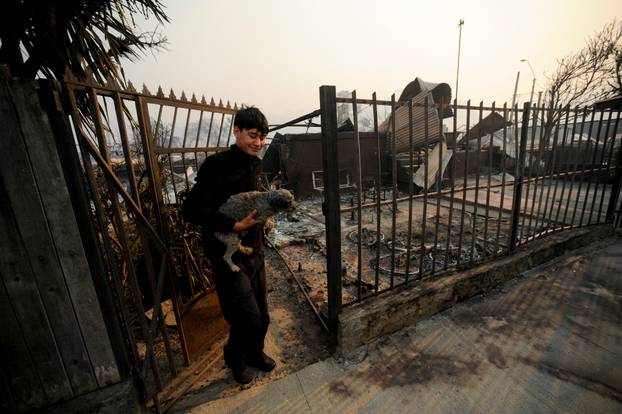 Wildfire burns in Chile