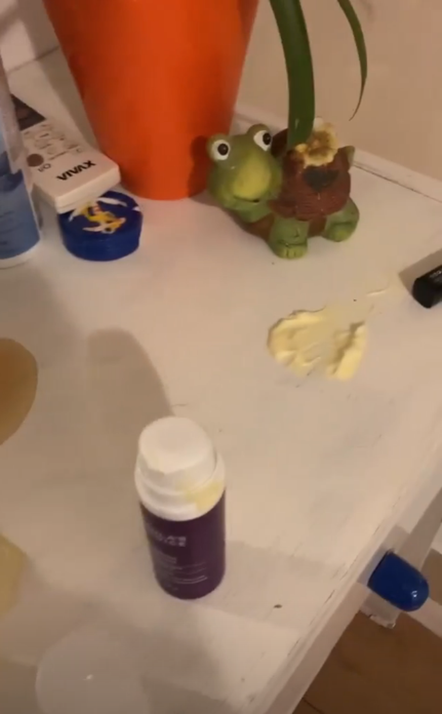 Pleško su prvo hakirali profil, a sad i provalili u apartman: Nisu ništa ukrali, ali su sve uništili...