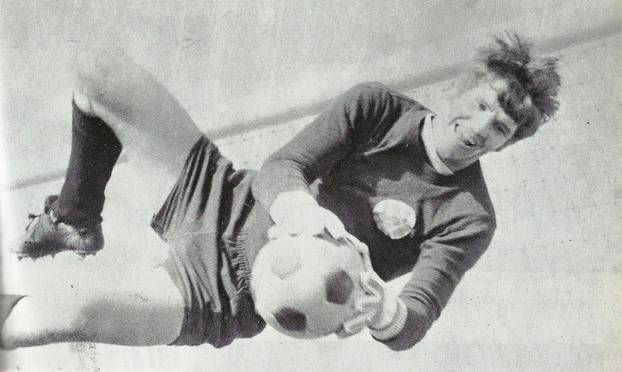 FOTO Bila jednom generacija Dinama '67. Tko je još ostao?