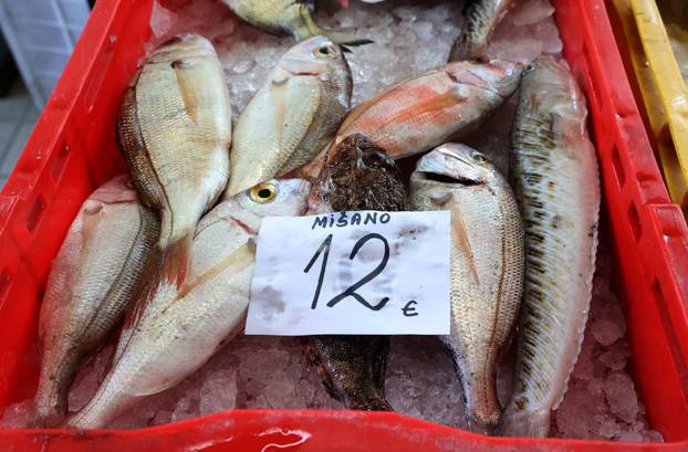 Šibenik: Poskupljenje plavog dizela još se nije odrazilo na cijene u ribarnici