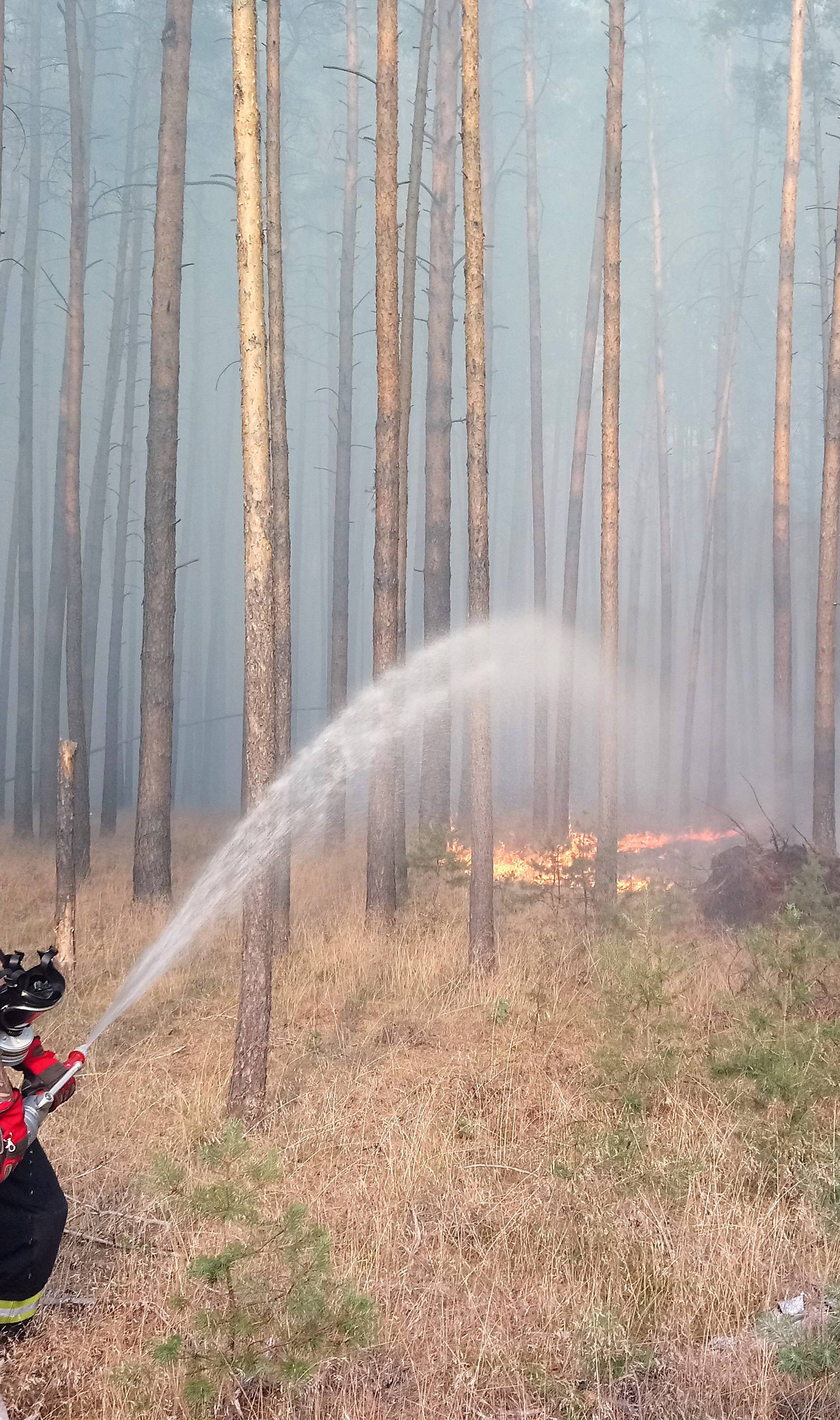 Major forest fire near Potsdam