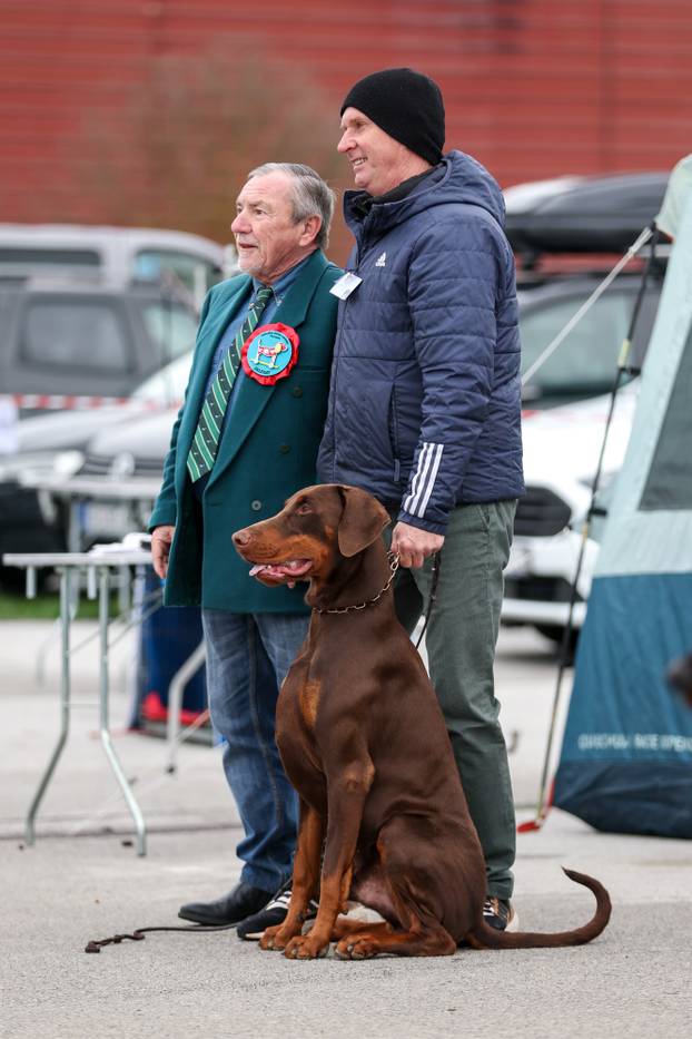 Izložba pasa svih pasmina ispred shopping centra Westgate City u Zaprešiću