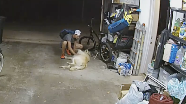 Provalio u garažu i ukrao bicikl, a obiteljski pas 'čuvar' se mazio s njim: 'Ma, tko je dobar pas...'