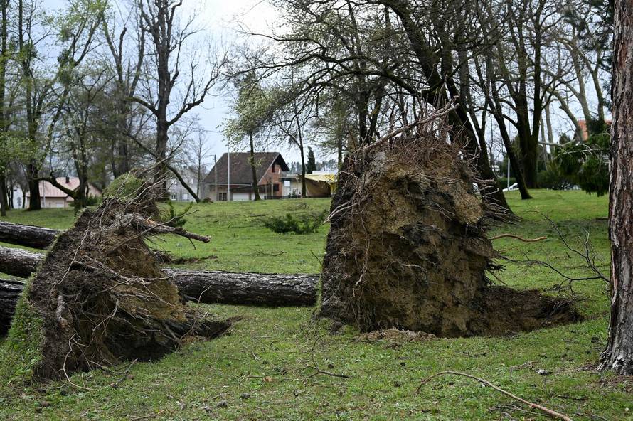 Zagreb: U nevremenu teško oštećeno gradsko groblje Mirogoj