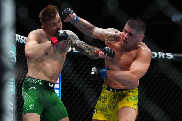 MMA: UFC 323 - Vettori vs Ferreira