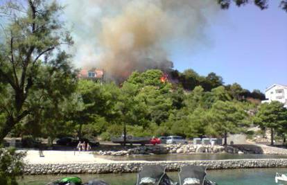 Zbog roštilja gorjela šuma, kuće su spasili vatrogasci