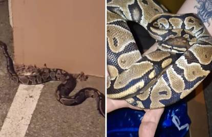 Drama u Zagrebu: Pogledajte kakva je zmijurina zbrisala vlasniku! Pokupio ju prolaznik