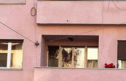 Najezda pčela: Roj je prekrio čitava balkonska vrata stana 