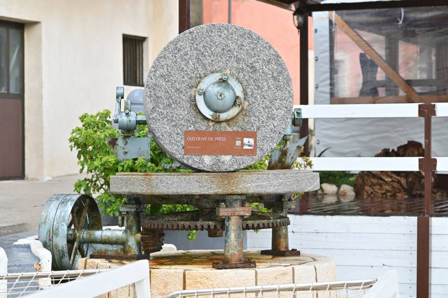 Proces proizvodnje maslinovog ulja u uljarskoj zadruzi Igrane