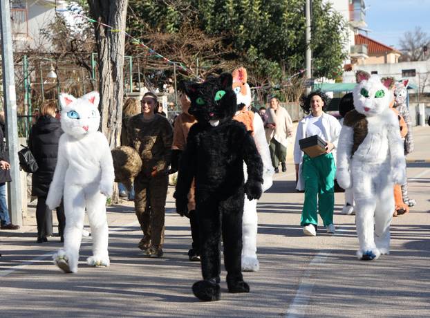 Jezera: Maškarana povorka prodefilirala je Jezerima