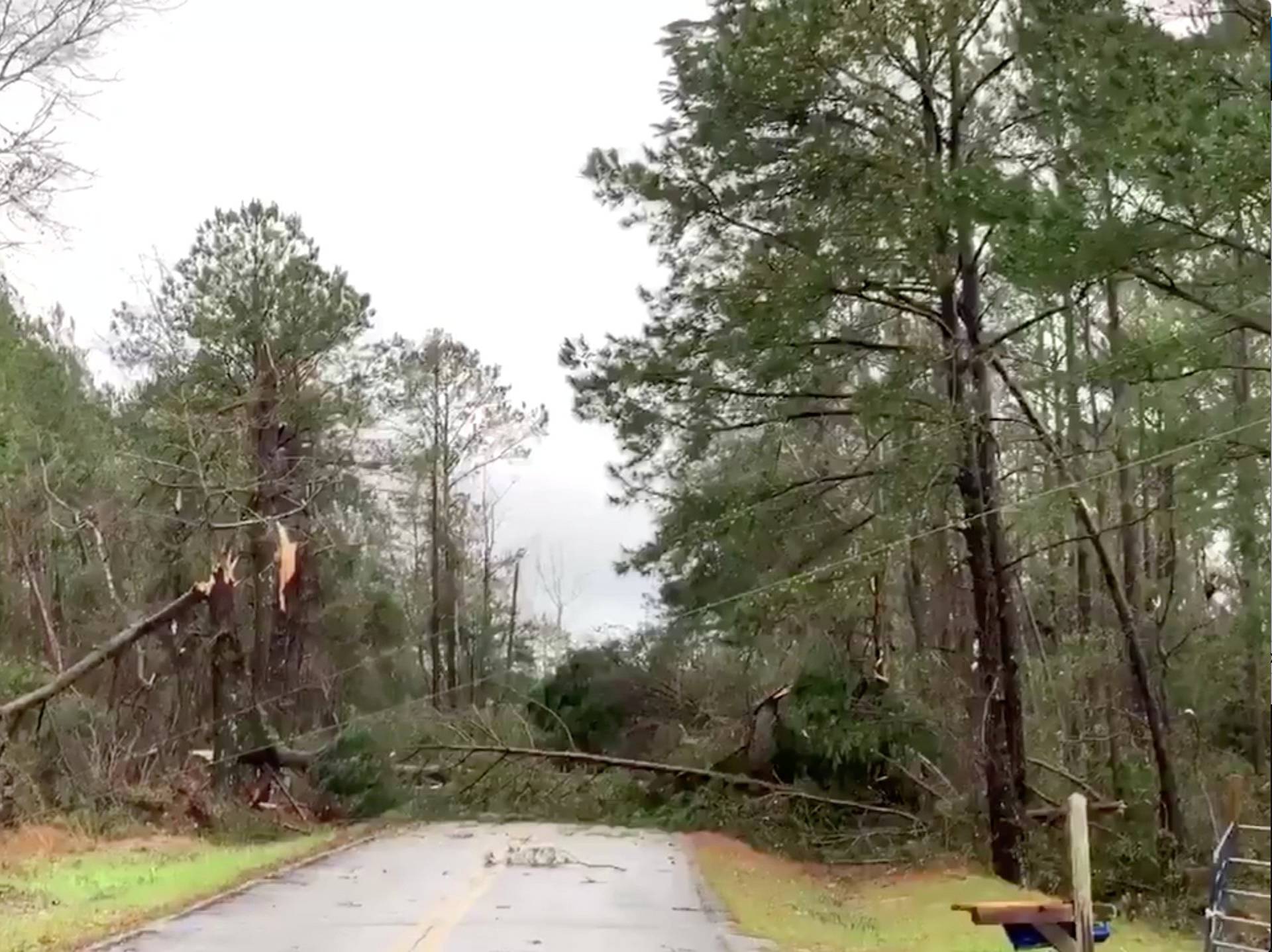 Fallen trees obstruct a road following a tornado in Beauregard, Alabama, U.S. in this March 3, 2019 still image obtained from social media video
