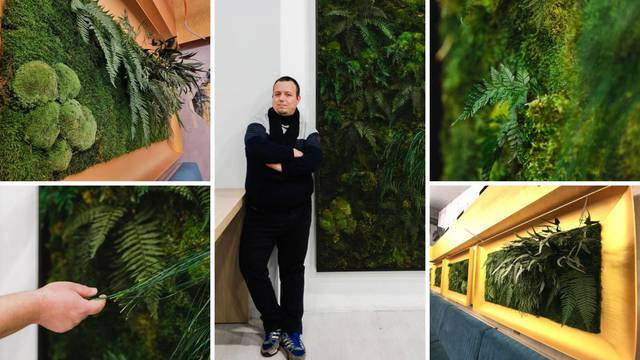 Ante izrađuje slike i zidove od bilja i mahovina: 'Uživam u svemu, od skice do same izrade'
