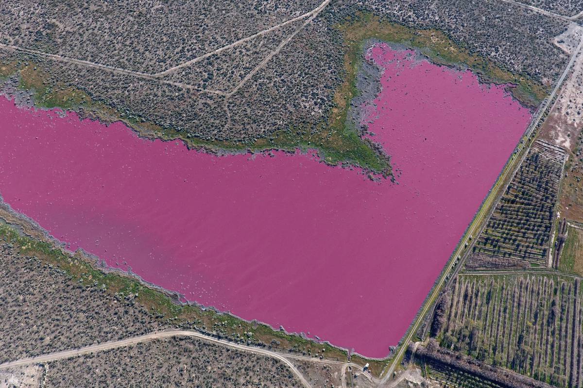 Jezera u Argentini postala ružičasta - ekolozi su zabrinuti